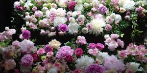 花の葬儀　フラワリングセレモニー